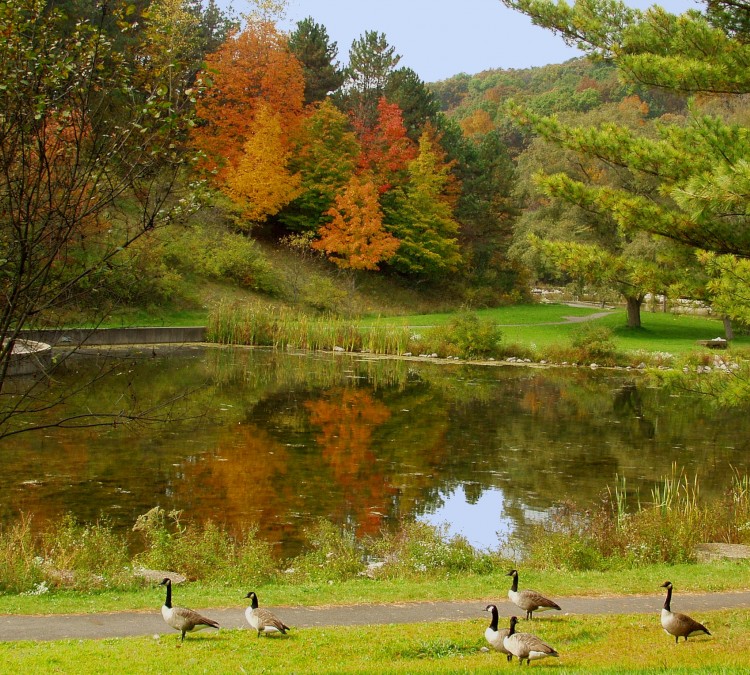 Deer Lakes Park (Tarentum,&nbspPA)